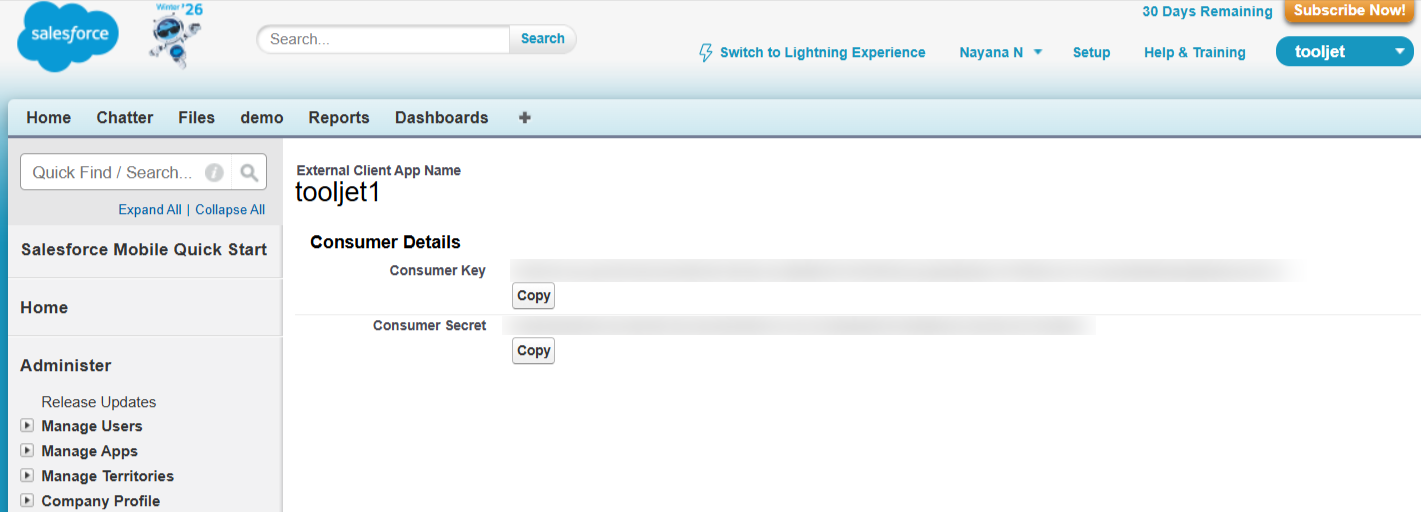 Salesforce Connected App API Settings